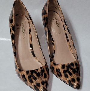 Mix No. 6 Cheetah Pump